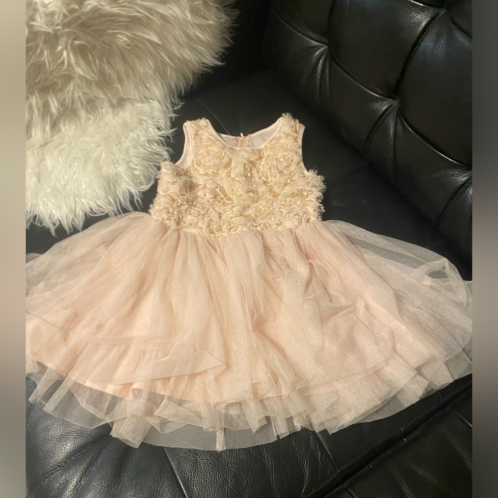 Beautiful pink tulle dress